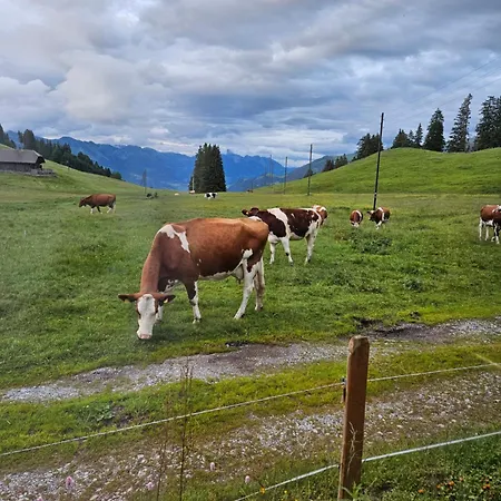 Schlichtes Und Gemuetliches Mobilhome 114 Boltigen