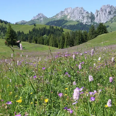 Campsite Schlichtes Und Gemuetliches Mobilhome 114 Boltigen