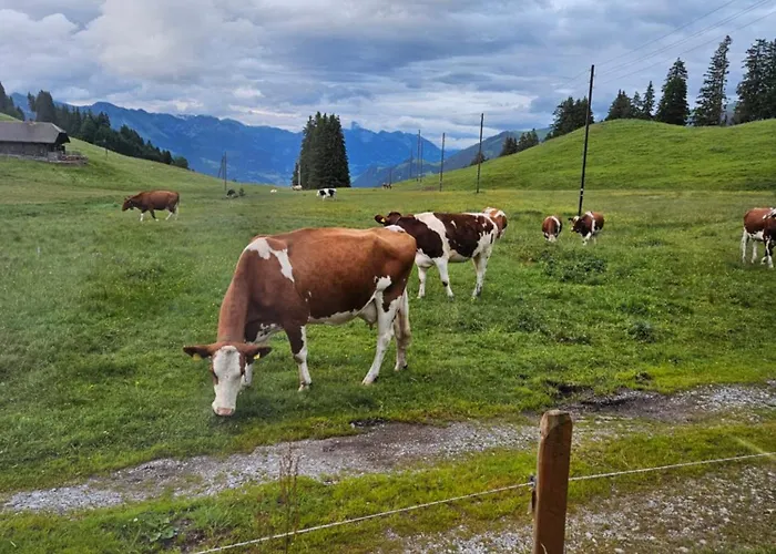 Schlichtes Und Gemuetliches Mobilhome 114 Boltigen