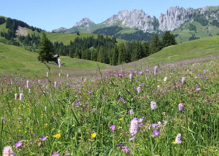 Кемпинг Schlichtes Und Gemuetliches Mobilhome 114 Больтиген